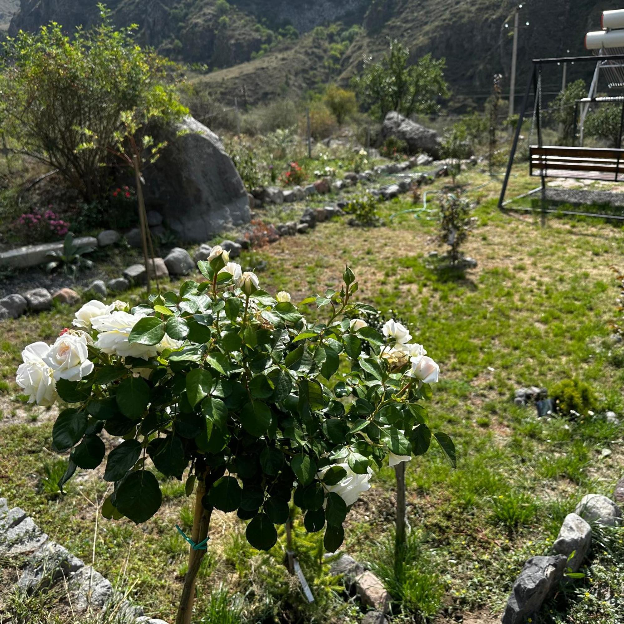 Vardzia Glamping Exterior foto